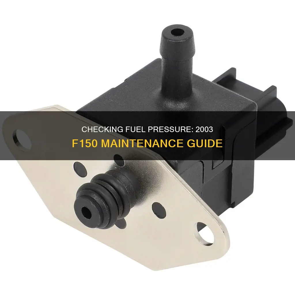 how to check fuel pressure on 2003 f150