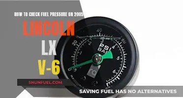 Checking Fuel Pressure: 2005 Lincoln LX V-6 Guide