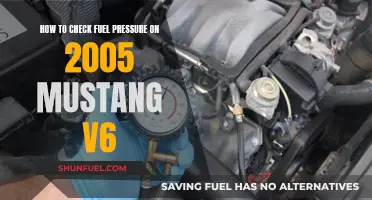 Checking Fuel Pressure: 2005 Mustang V6 Guide