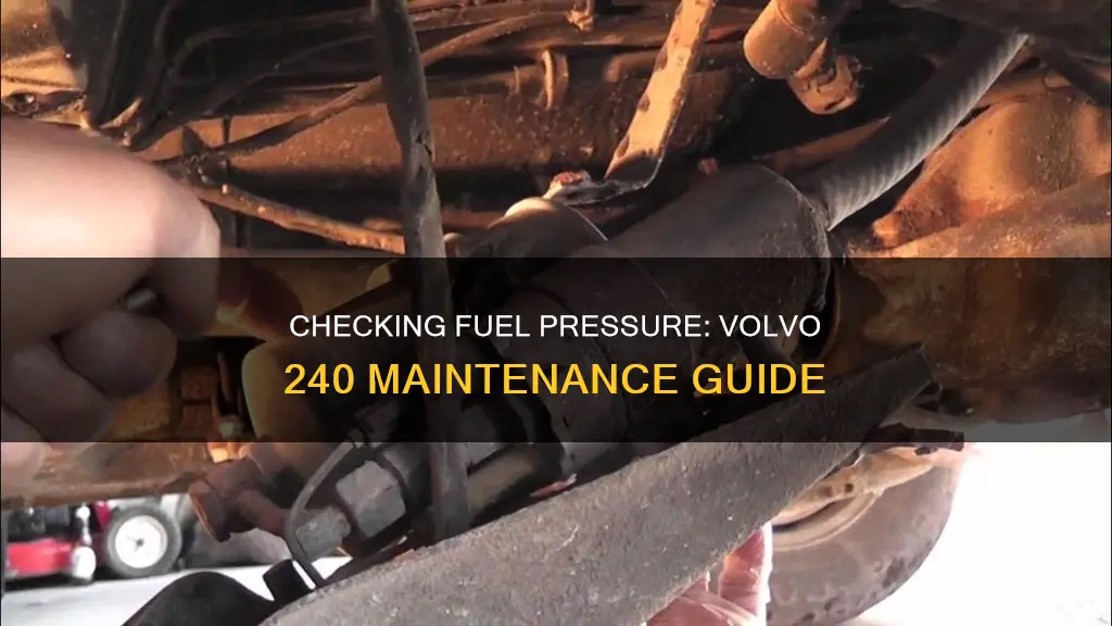 how to check fuel pressure on 240 volvo