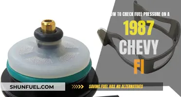 Checking Fuel Pressure: 1987 Chevy FI Guide