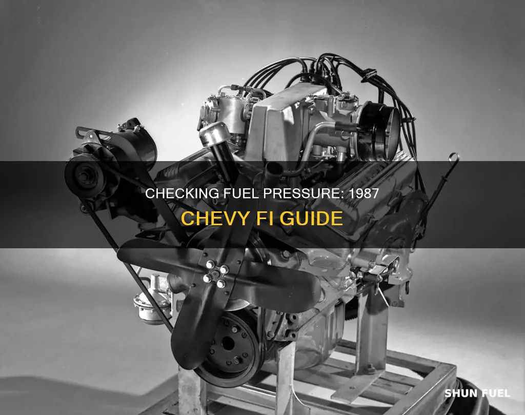 how to check fuel pressure on a 1987 chevy fi