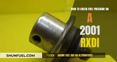 Checking Fuel Pressure: 2001 RXDI Guide