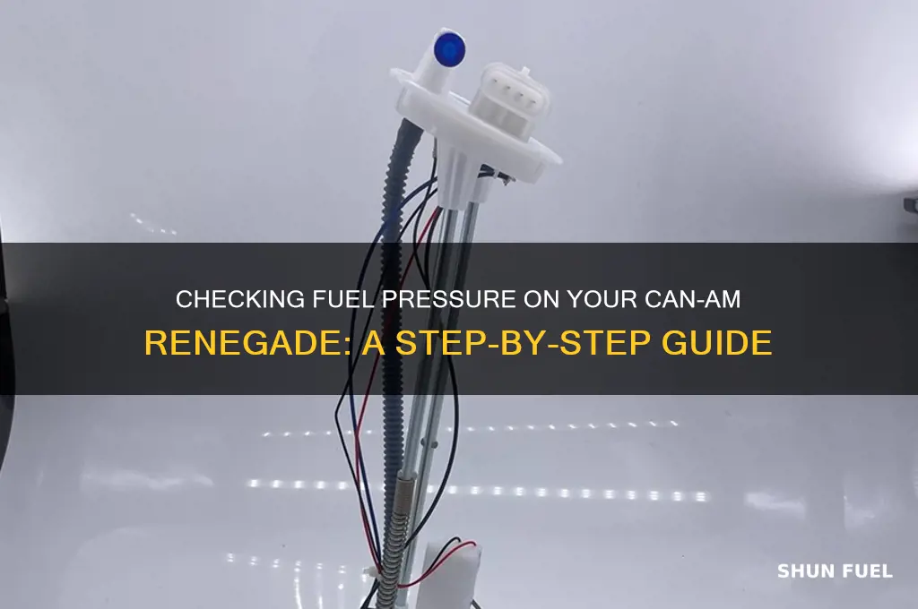 how to check fuel pressure on can am renegade