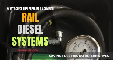 Checking Fuel Pressure: Common Rail Diesel Systems Guide