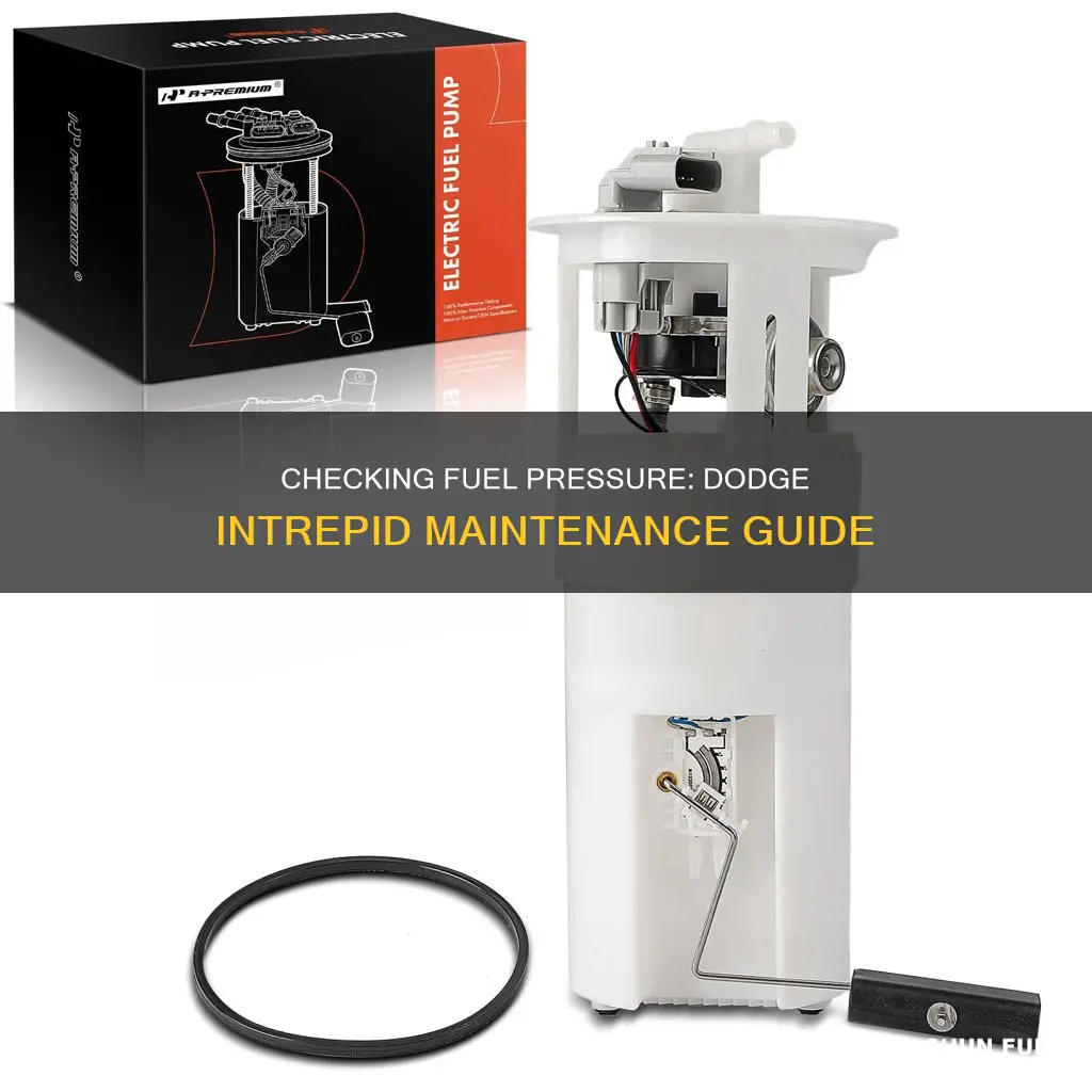 how to check fuel pressure on dodge intrepid