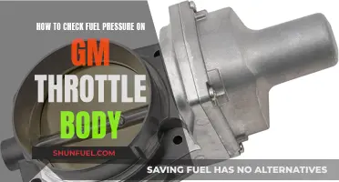 Checking Fuel Pressure: GM Throttle Body Guide