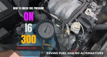 Checking Fuel Pressure: I6 300's DIY Guide