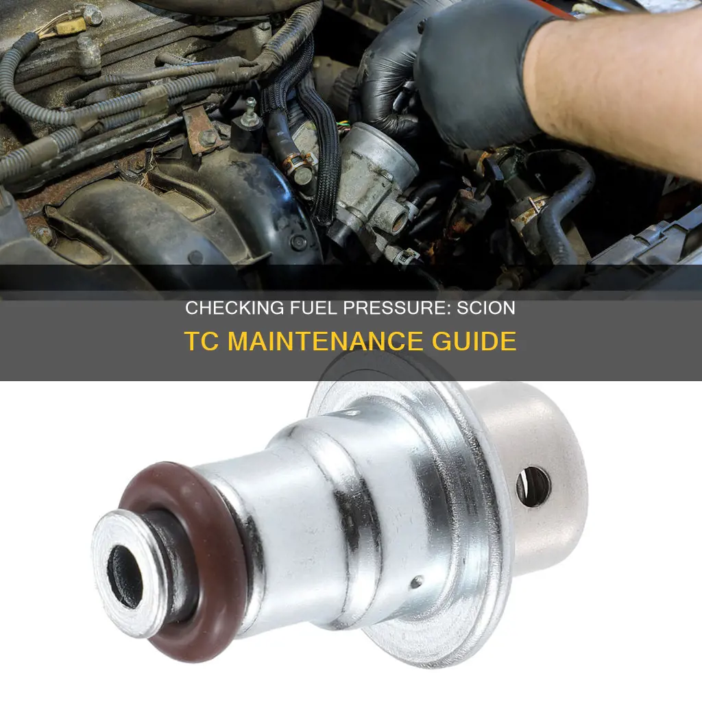 how to check fuel pressure on scion tc