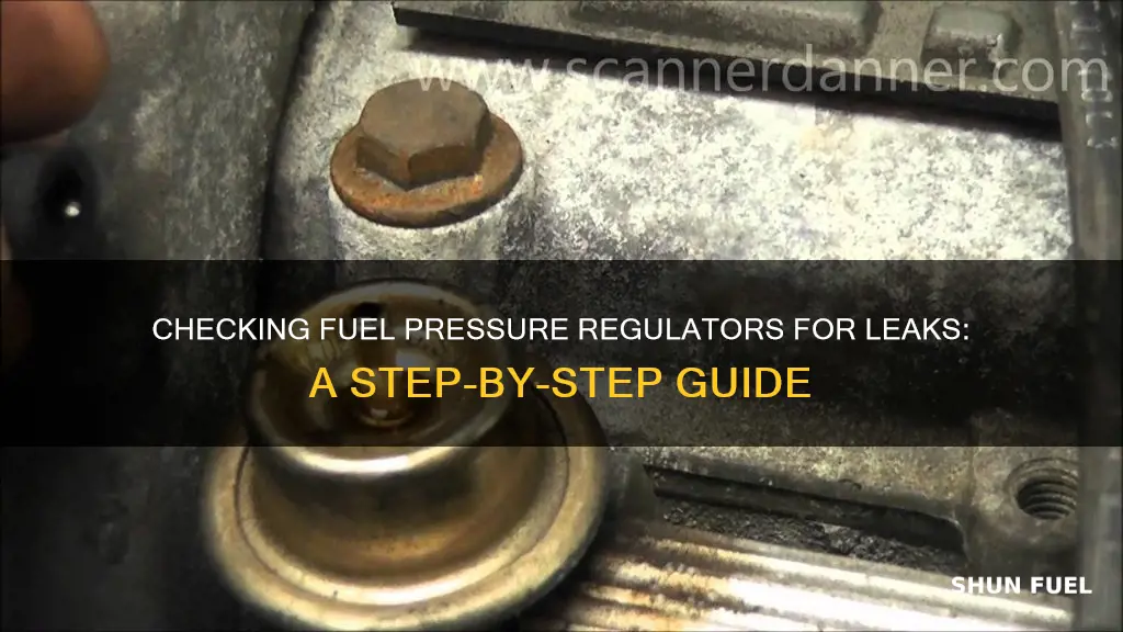 how to check fuel pressure regulator for leaks