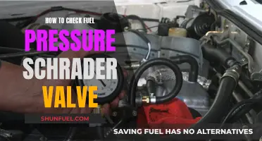 Checking Fuel Pressure: Testing the Schrader Valve