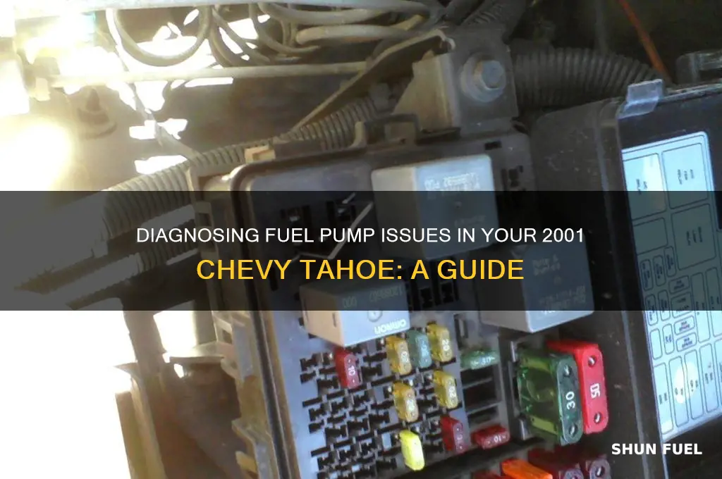 how to check fuel pump 2001 chevy tahoe