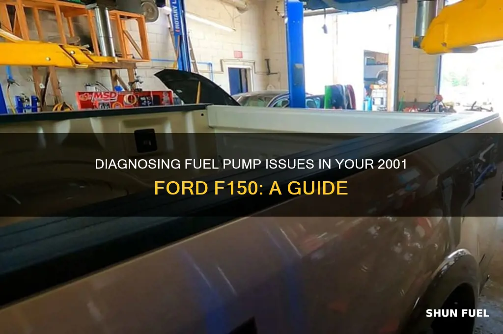 how to check fuel pump 2001 f150