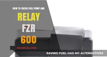 Checking Fuel Pump & Relay on Your FZR 600: A Guide