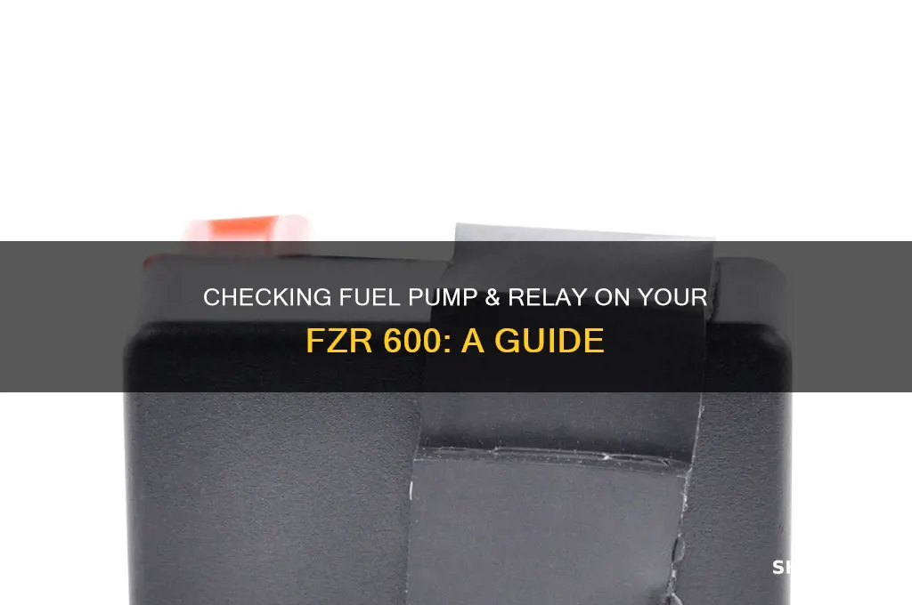 how to check fuel pump and relay fzr 600
