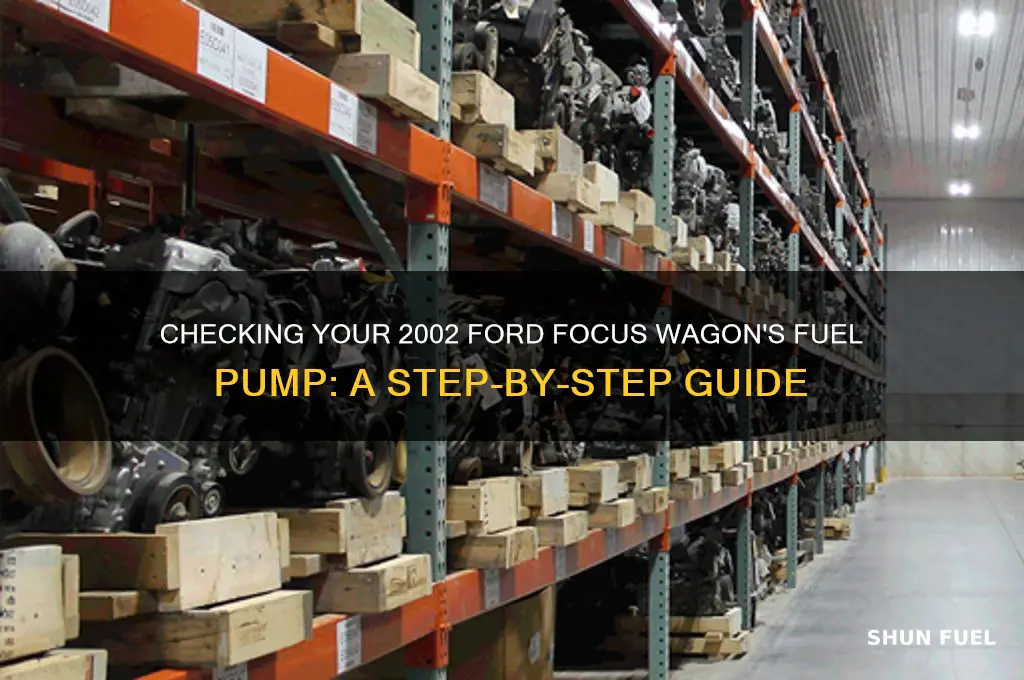 how to check fuel pump ford focus wagon 2002