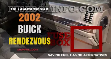 Checking the Fuel Pump Fuse on Your 2002 Buick Rendezvous