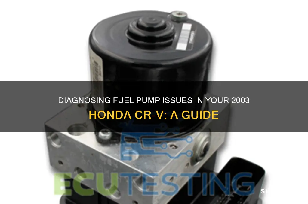 how to check fuel pump honda crv 2003