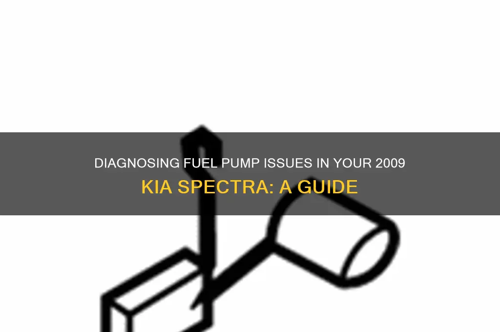 how to check fuel pump in 09 kia spectra