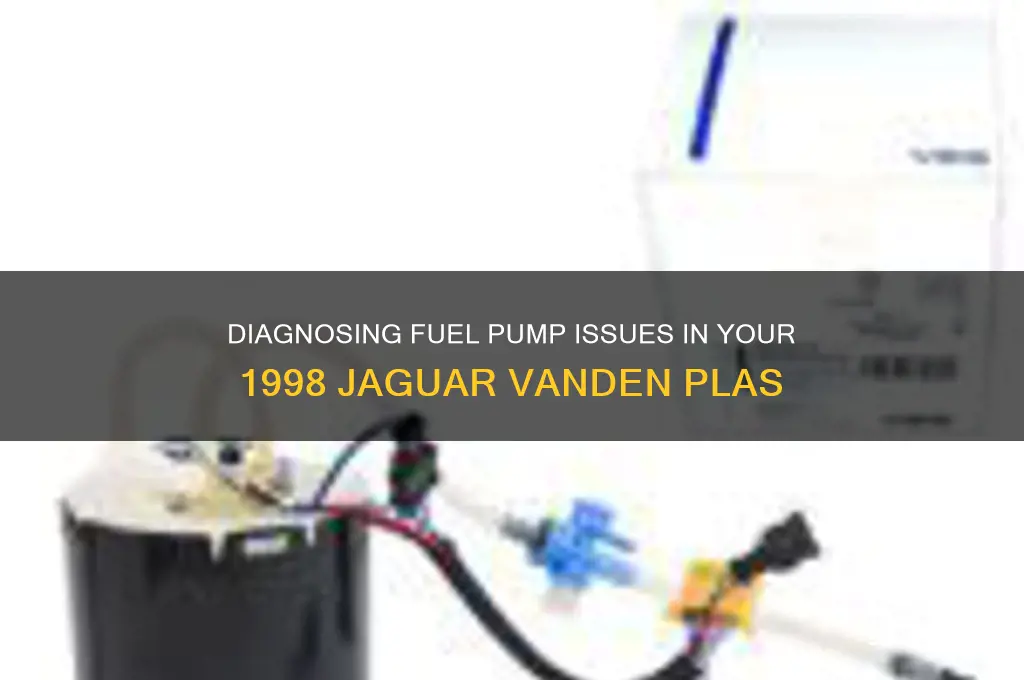 how to check fuel pump in jaguar 1998 vanden plas