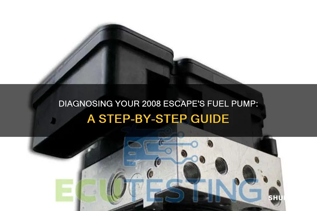 how to check fuel pump is working 2008 escape