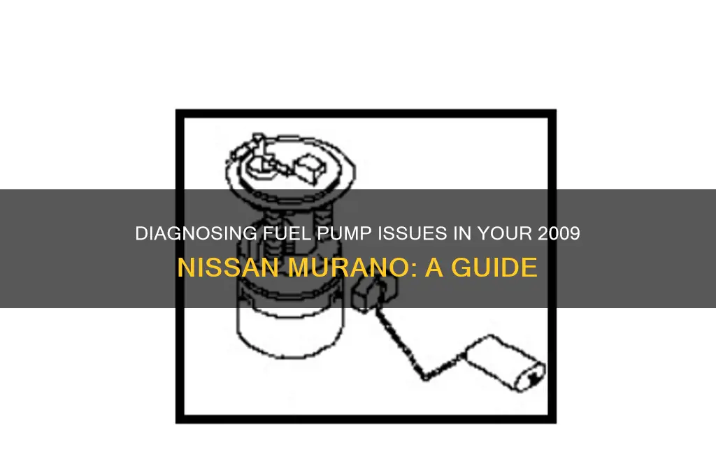 how to check fuel pump nissan murano 2009