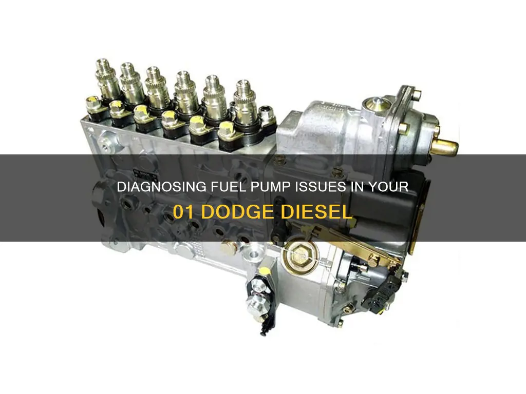 how to check fuel pump on 01 dodge diesel