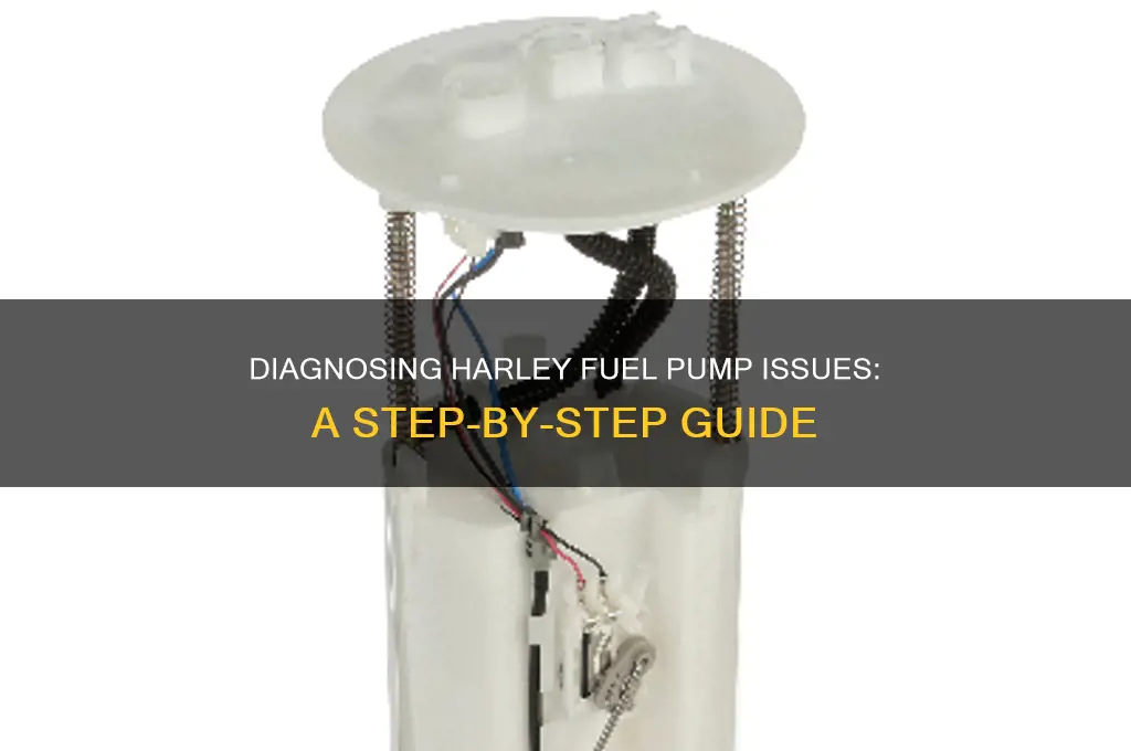 how to check fuel pump on harley