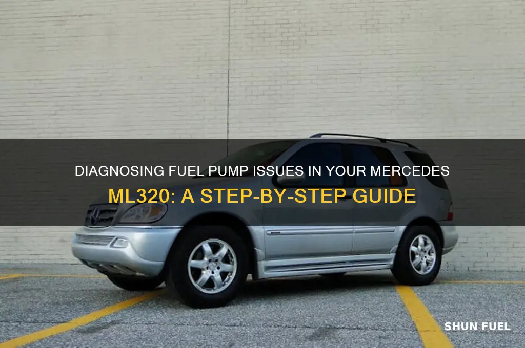 how to check fuel pump on mercedes ml320