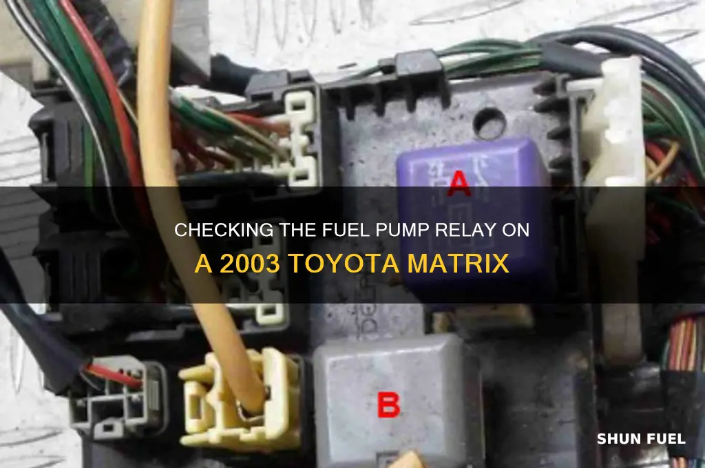 how to check fuel pump relay on 2003 toyotamatrix