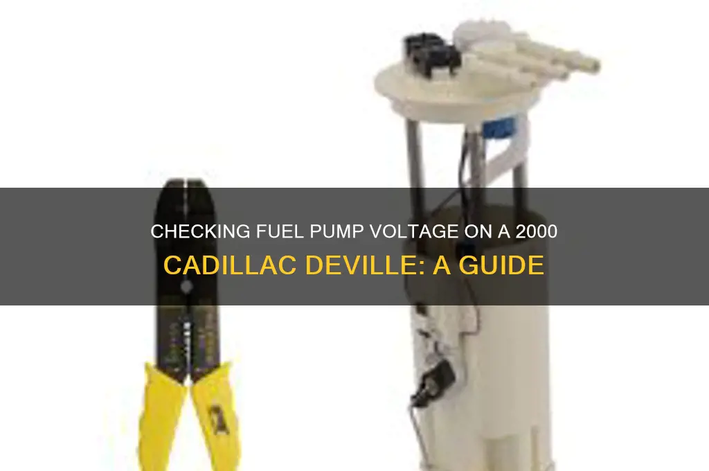 how to check fuel pump voltage on 2000 cadillac deville
