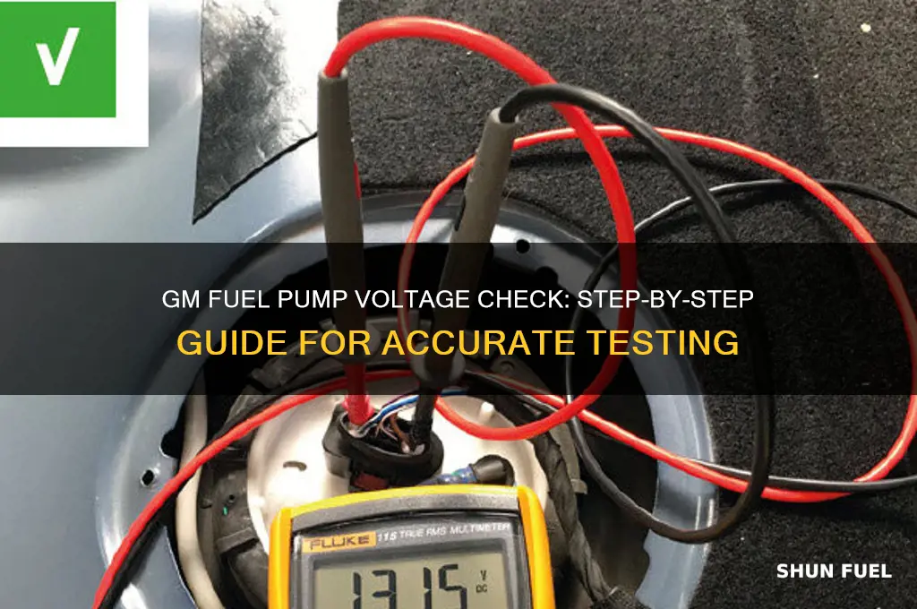 how to check fuel pump voltage on gm