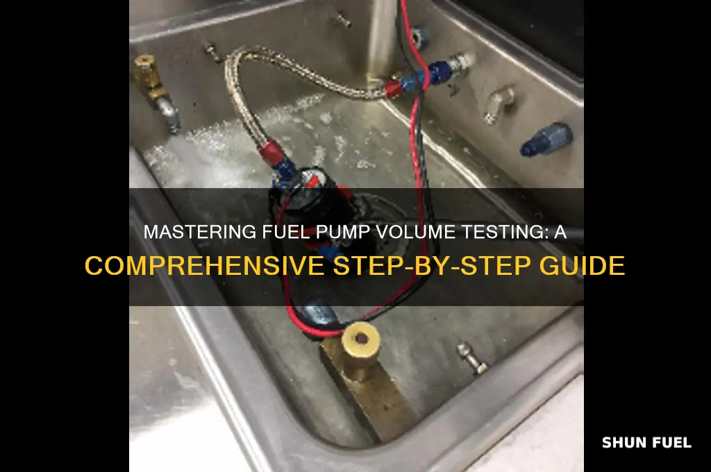 how to check fuel pump volume