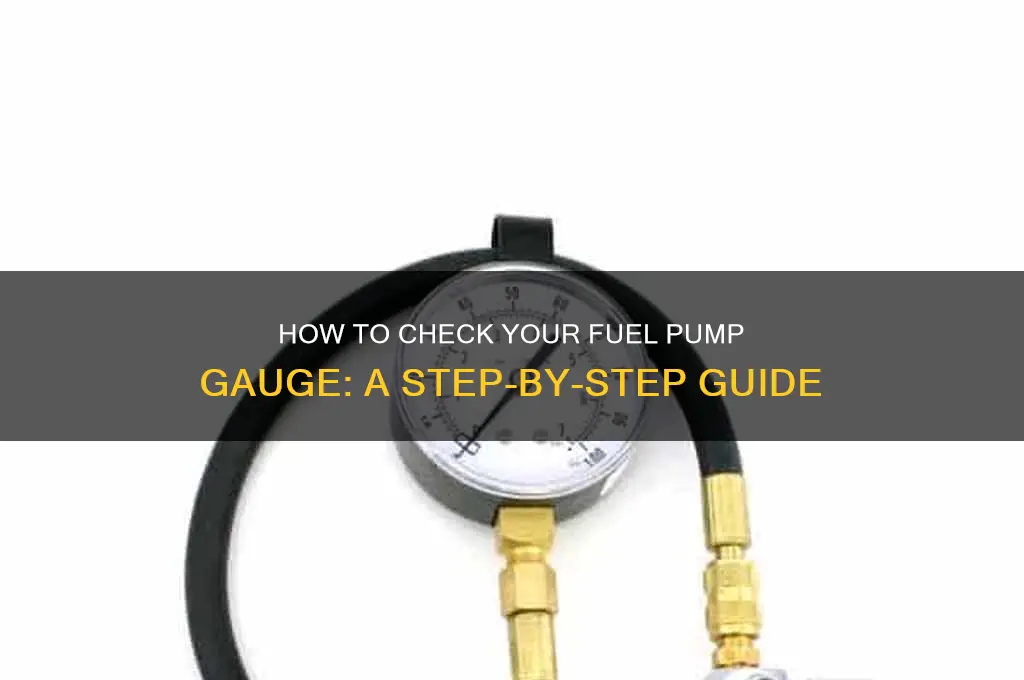 how to check gage fuel pump