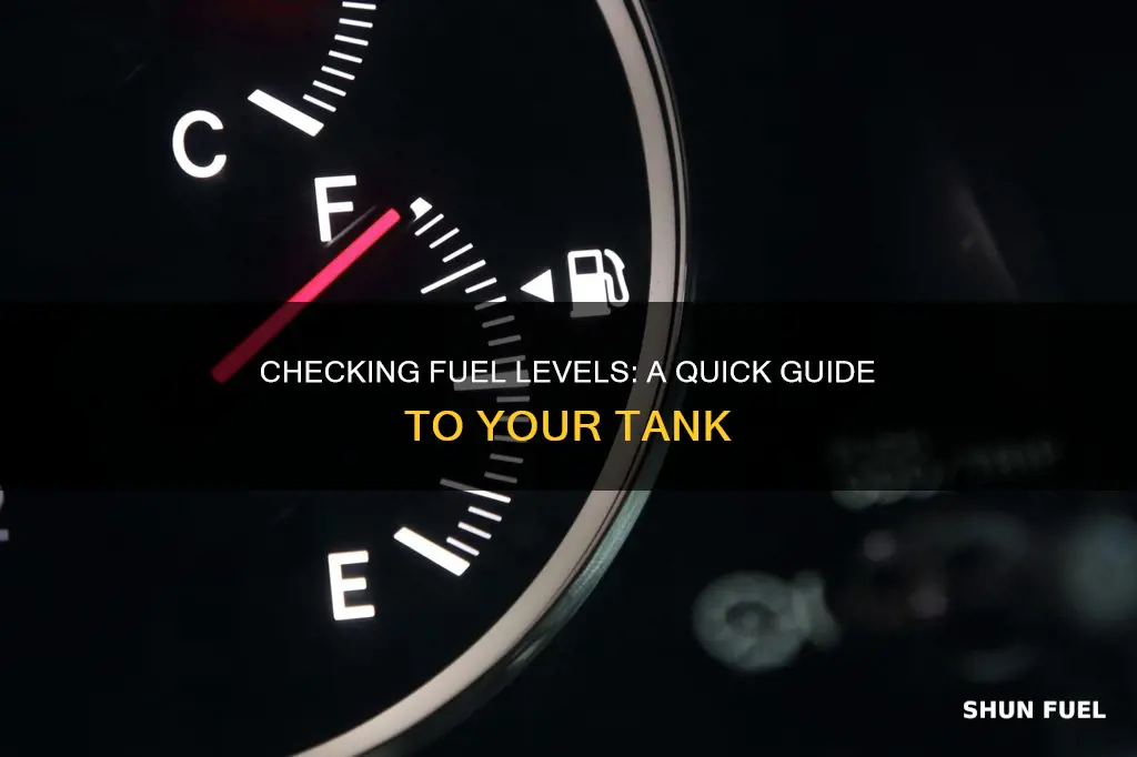 how to check how much fuel is in your tank