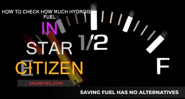 Star Citizen: Checking Hydrogen Fuel Levels