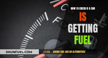 Fuel Check: Tips for Ensuring Your Car's Gas Efficiency