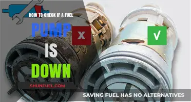 Diagnosing Fuel Pump Failure: Quick Steps to Check if It's Down