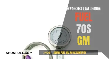 Checking Fuel Delivery in 70s GM Cars