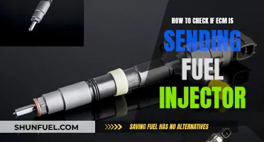 Diagnosing Fuel Injectors: Testing the ECM's Control