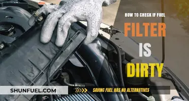 Inspecting Fuel Filters: Signs of Dirt and Damage