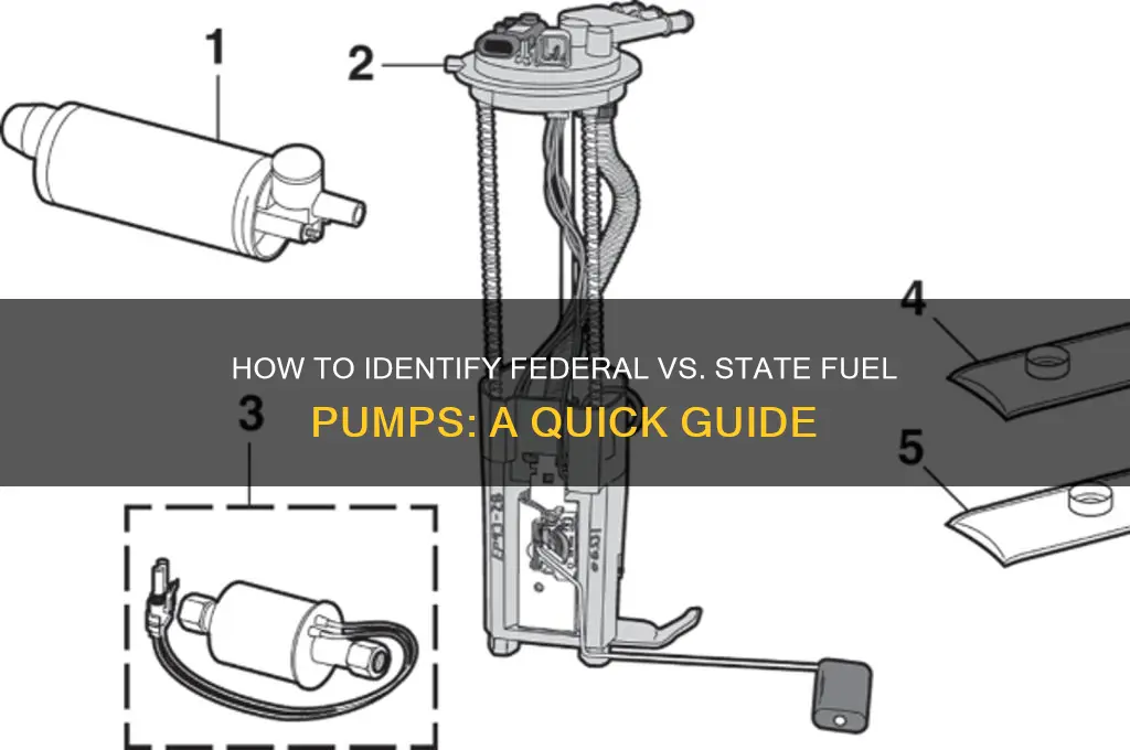 how to check if fuel pump is federal or state