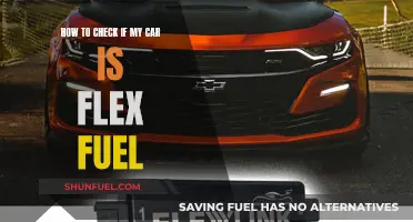 Flex Fuel or Not? A Guide to Checking Your Car's Compatibility