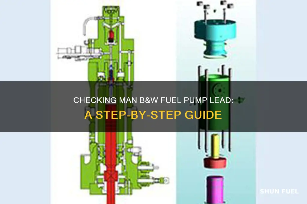 how to check man b&w fuel pump lead