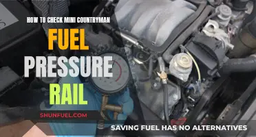 Checking Fuel Pressure Rail in Mini Countryman: DIY Guide