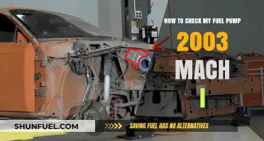 Checking Your 2003 Mach I Fuel Pump: A Step-by-Step Guide