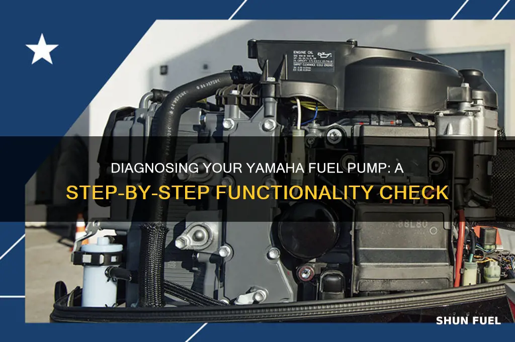 how to check my yamaha fuel pump is working