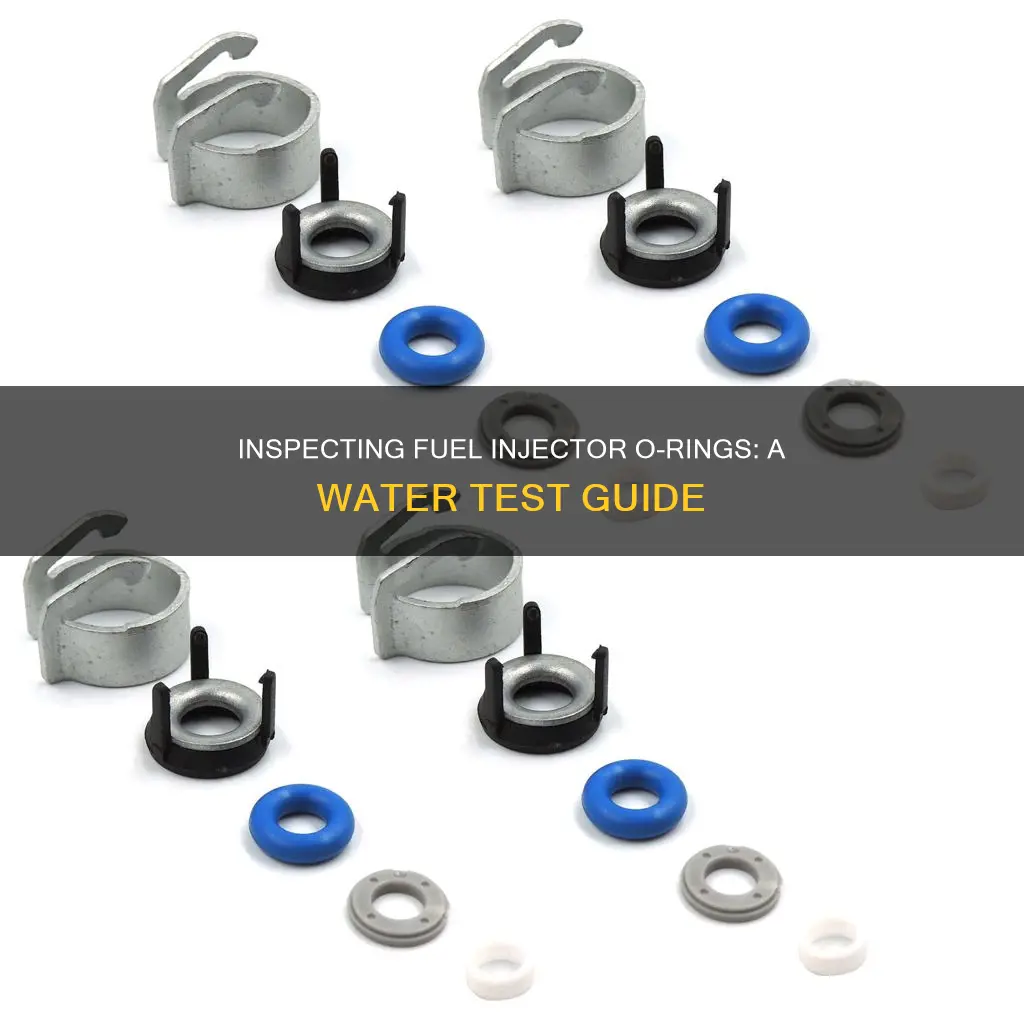 how to check o ring of fuel injector with water