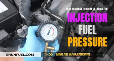 Checking Fuel Pressure in Peugeot Jetronic Fuel Injection