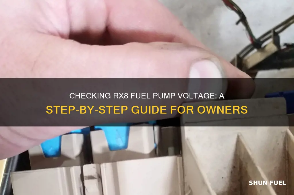how to check rx8 fuel pump voltage